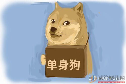 中國單身可以做試管嬰兒嗎(圖1)