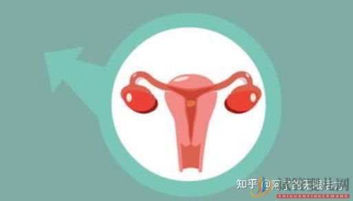 來得及!40歲做試管成功率多少,試管對amh值的最低(圖2)