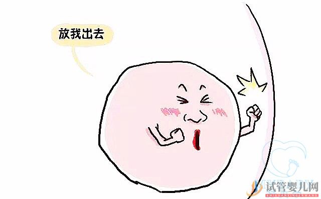 不排卵可以做試管嬰兒？孖寶告訴你！(圖1)