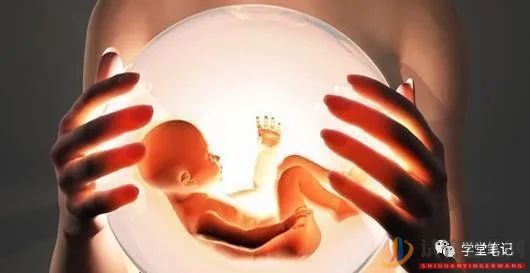 中國第一例“試管嬰兒”已經(jīng)33歲,她的現(xiàn)狀卻令人驚訝(圖1)