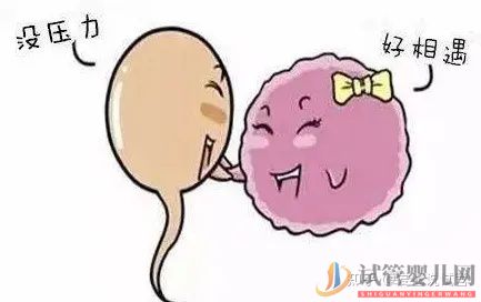 西寧(四代試管費用明細)帶你提前了解幾代試管嬰兒的費用(圖3) 帶你提前了解幾代試管嬰兒的費用(圖3)