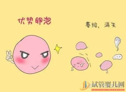 西寧(四代試管費用明細)帶你提前了解幾代試管嬰兒的費用(圖2) 帶你提前了解幾代試管嬰兒的費用(圖2)