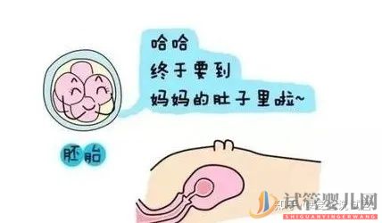 西寧(四代試管費用明細)帶你提前了解幾代試管嬰兒的費用(圖4) 帶你提前了解幾代試管嬰兒的費用(圖4)