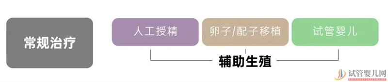 試管嬰兒可以報銷了,你可能需要這篇輔助生(圖2)
