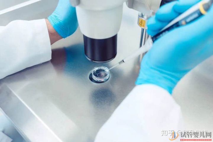 成都試管嬰兒花費(fèi)高,醫(yī)保可以報(bào)銷嗎_買哪種試管嬰兒(圖2)