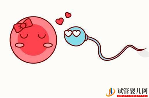 西安進入試管周期治療后取卵取精的順序是怎么樣的？(圖1)