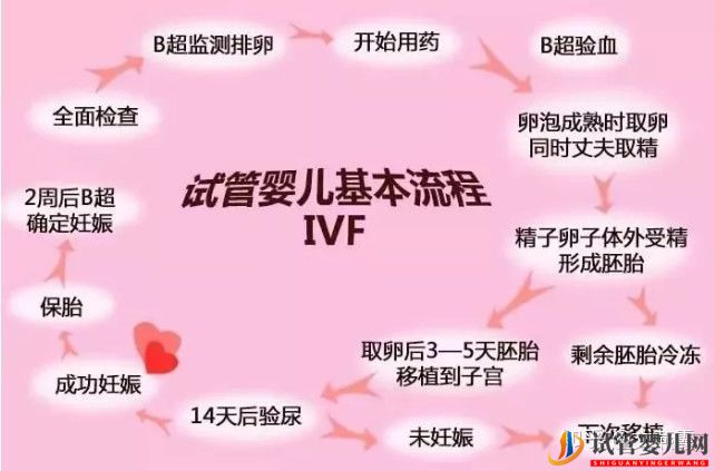 試管嬰兒網:試管嬰兒全流程介紹(圖1) 試管嬰兒全流程介紹(圖1)