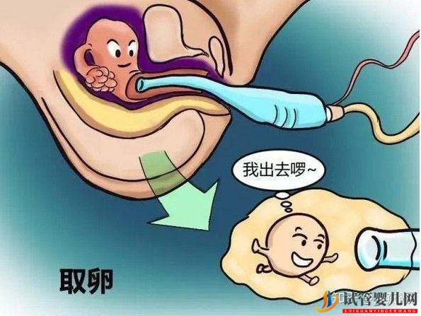 試管嬰兒網:試管嬰兒全流程介紹(圖3) 試管嬰兒全流程介紹(圖3)