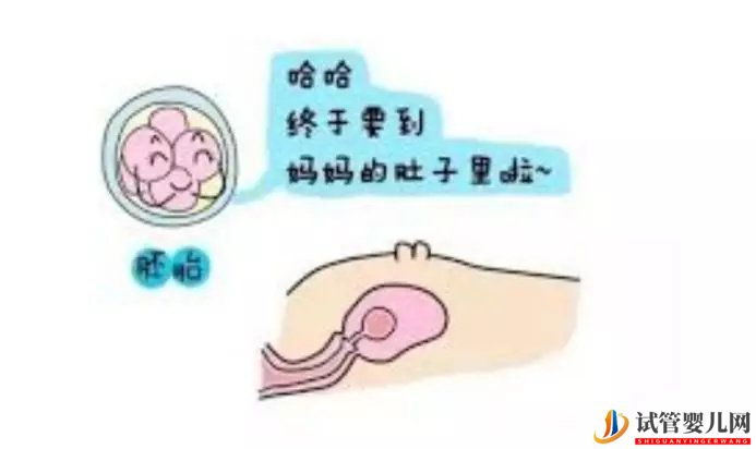 泰國做試管，胚胎移植卻不著床，應該怎么辦？(圖1)