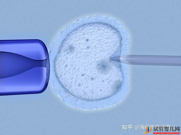 試管嬰兒1代、2代、3代、4代哪個最好(圖3)