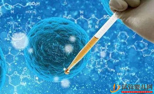 做試管嬰兒需要多少天_要離職嗎(圖1)