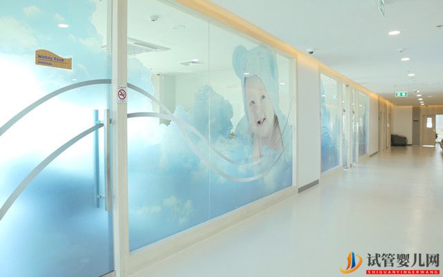 去泰國做試管嬰兒需要辦理哪些手續(圖1)