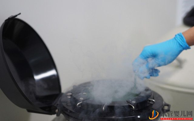 去泰國做試管嬰兒需要辦理哪些手續(圖2)