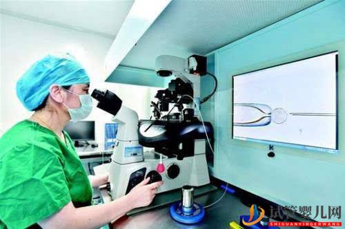 試管嬰兒凍胚移植的時間怎么確定(圖1)