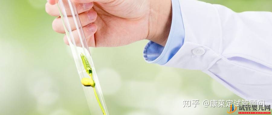 做試管嬰兒最詳細的講解,全部只要七步就能完成!(圖4) 做試管嬰兒最詳細的講解,全部只要七步就能完成!(圖4)