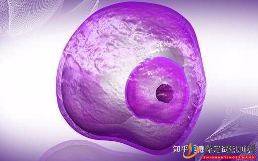 做試管嬰兒最詳細的講解,全部只要七步就能完成!(圖7) 做試管嬰兒最詳細的講解,全部只要七步就能完成!(圖7)