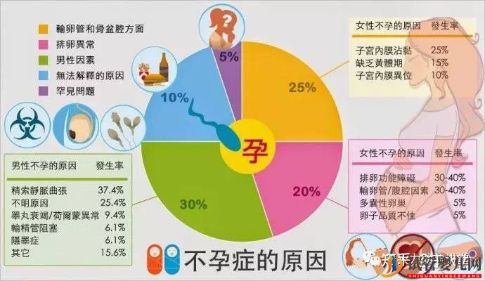 試管嬰兒的一個基本流程和周期時間(圖5)