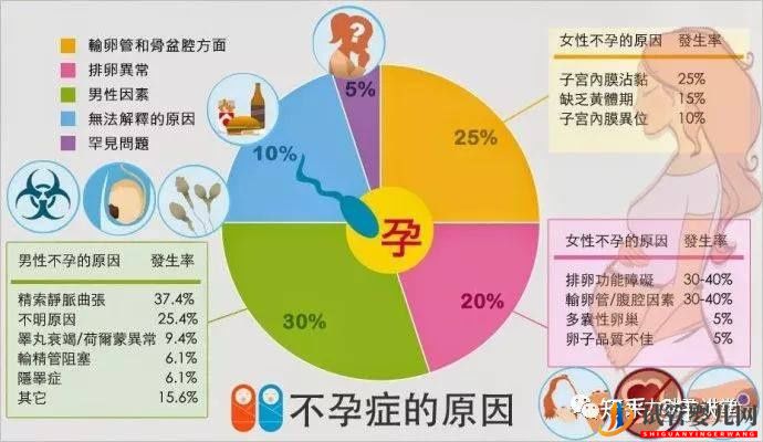 試管嬰兒的一個基本流程和周期時間(圖6)