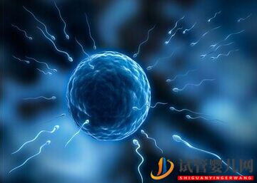 試管嬰兒費用的高低是根據(jù)患者體質不同收取嗎(圖1)