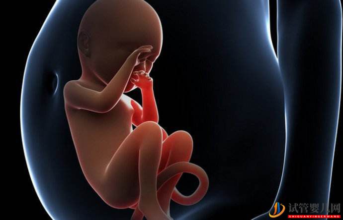 為何醫生大都不建議做“試管嬰兒”?無非是過程太辛酸(圖2) 為何醫生大都不建議做“試管嬰兒”?無非是過程太辛酸(圖2)