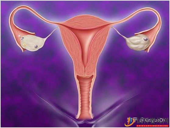 做試管卵泡正常內膜厚度多少才正常_90%的患者不知道(圖1)