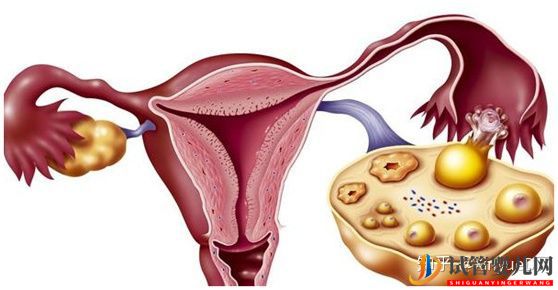 做試管卵泡正常內膜厚度多少才正常_90%的患者不知道(圖6)