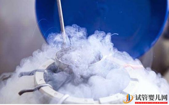 干貨_胚胎解凍和移植全過程(圖1)