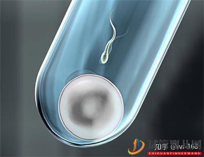 試管嬰兒的歷史及其發展過程(圖2) 試管嬰兒的歷史及其發展過程(圖2)