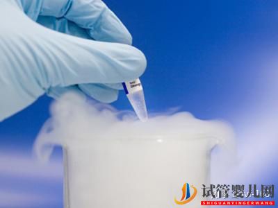 試管嬰兒的歷史及其發展過程(圖3) 試管嬰兒的歷史及其發展過程(圖3)