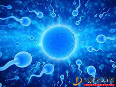 試管嬰兒的歷史及其發展過程(圖20) 試管嬰兒的歷史及其發展過程(圖20)