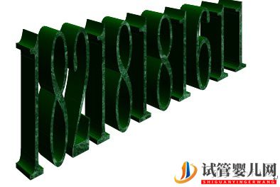 試管嬰兒的歷史及其發展過程(圖23) 試管嬰兒的歷史及其發展過程(圖23)