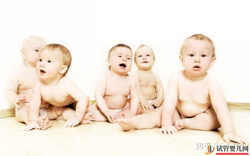 試管嬰兒的歷史及其發展過程(圖21) 試管嬰兒的歷史及其發展過程(圖21)