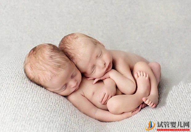 試管嬰兒的壽命、智力和普通嬰兒一樣嗎？(圖1)