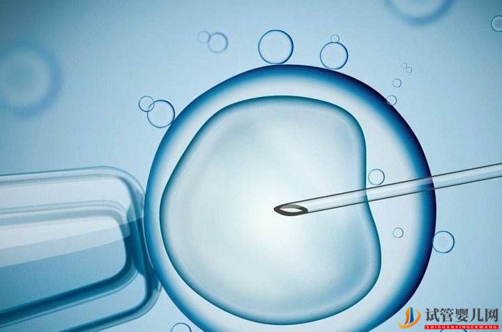 試管嬰兒跟普通嬰兒沒有區別？錯！不得不承認會有這3大差異(圖1)