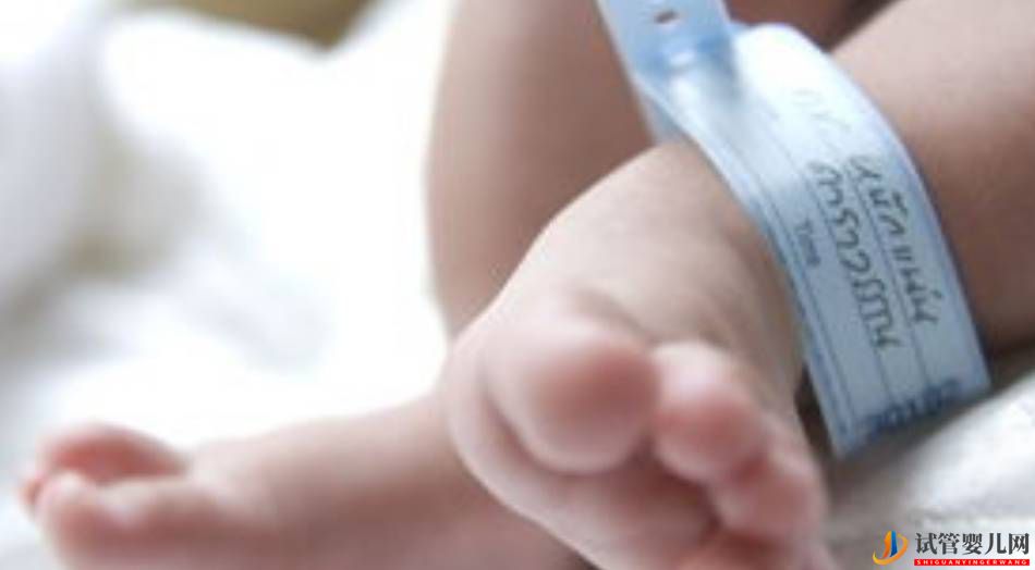 試管嬰兒真的好嗎?過來人:取卵是人生難忘的陰影(圖1) 試管嬰兒真的好嗎?過來人:取卵是人生難忘的陰影(圖1)