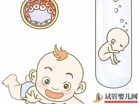 做試管嬰兒男人需要檢查什么？做試管嬰兒前男性的檢查項目(圖1)