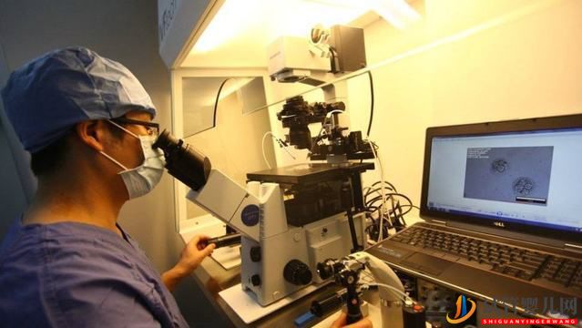 做試管嬰兒前檢查項(xiàng)目什么作用(圖1)