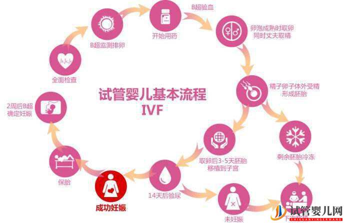 人工授精和試管嬰兒的區別(圖1) 人工授精和試管嬰兒的區別(圖1)