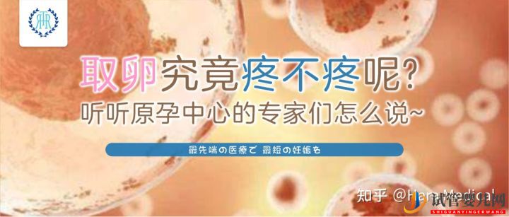 取卵究竟疼不疼呢_聽聽原孕中心的專家們怎么說(圖2) 取卵究竟疼不疼呢_聽聽原孕中心的專家們怎么說(圖2)