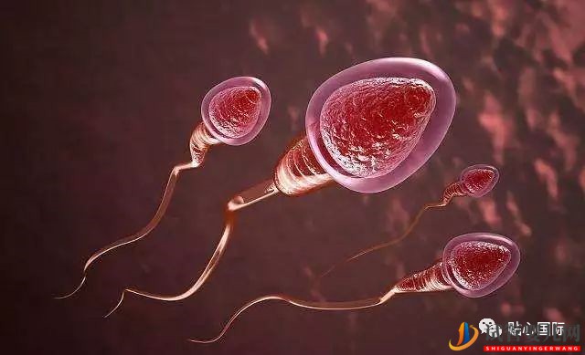 男性不育做試管嬰兒有希望當爸爸嗎？(圖1)