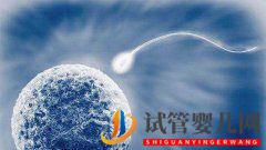 格魯吉亞試管嬰兒凍胚移植后有哪些注意事項和飲食禁忌(圖1)