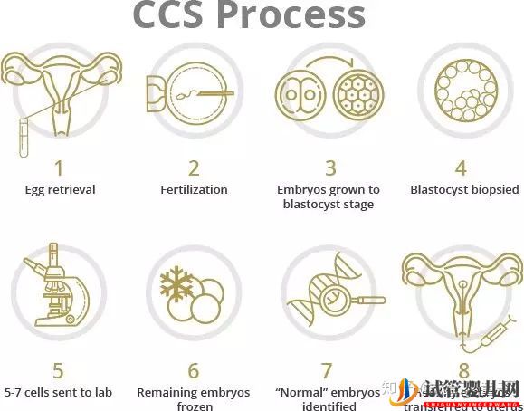 如何選擇一個美國試管嬰兒好醫院(圖4) 如何選擇一個美國試管嬰兒好醫院(圖4)