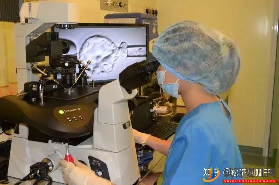 如何選擇一個美國試管嬰兒好醫院(圖8) 如何選擇一個美國試管嬰兒好醫院(圖8)