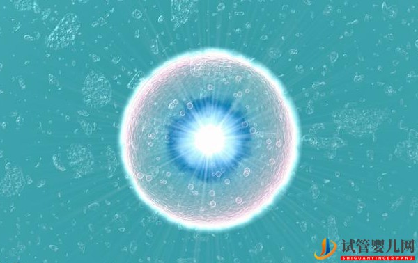 美國試管嬰兒促排卵VS自然成熟的卵子(圖1)