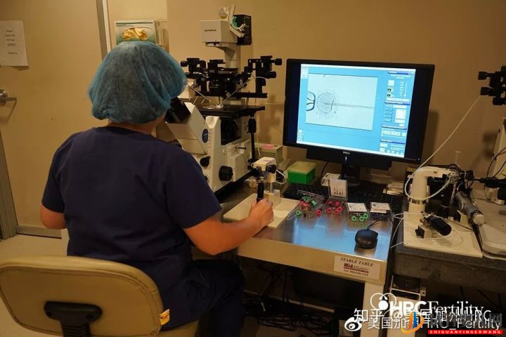 美國試管嬰兒醫院介紹_走進美國加州HRC生殖中心(圖44)