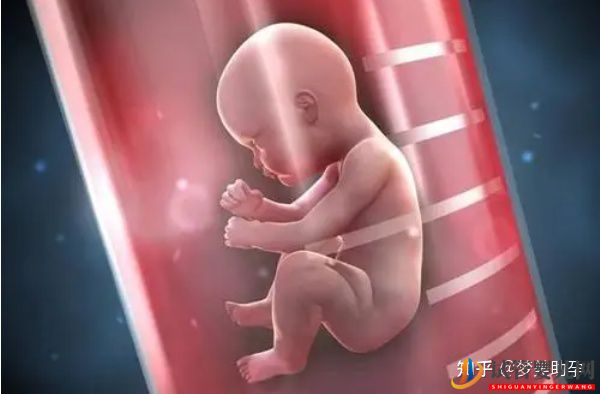 美國試管嬰兒哪家醫院好_優勢有哪些(圖5) 美國試管嬰兒哪家醫院好_優勢有哪些(圖3)