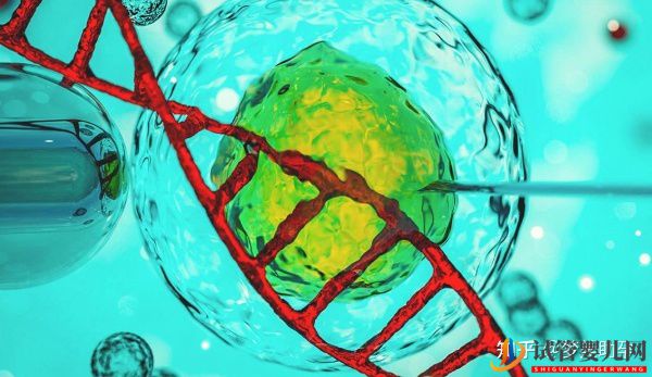 美國試管嬰兒哪家醫院好_優勢有哪些(圖7) 美國試管嬰兒哪家醫院好_優勢有哪些(圖4)