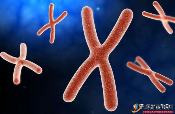 赴美試管嬰兒多少錢,性價比如何(圖9) 赴美試管嬰兒多少錢,性價比如何(圖5)