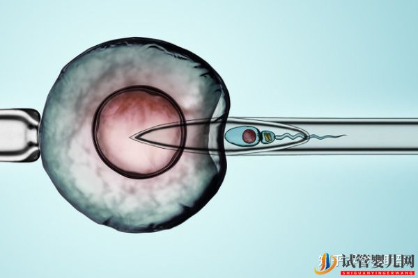 赴美試管嬰兒多少錢,性價比如何(圖5) 赴美試管嬰兒多少錢,性價比如何(圖3)