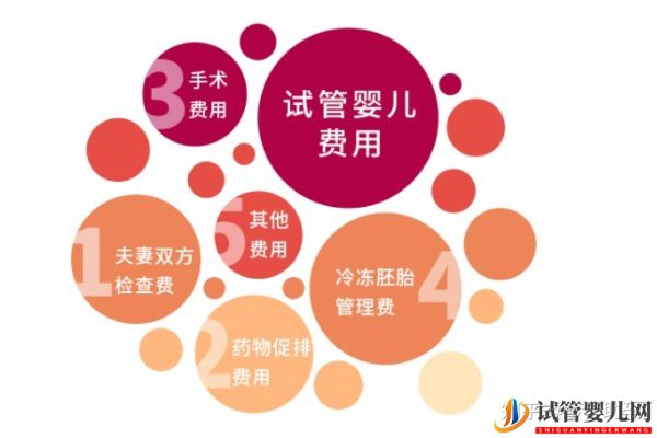 赴美試管嬰兒多少錢,性價比如何(圖2) 赴美試管嬰兒多少錢,性價比如何(圖1)